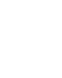 Form Icon